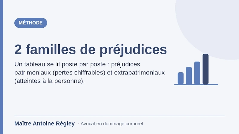 les 2 familles de préjudice